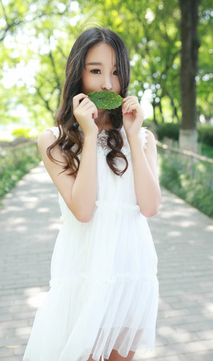 大厨小婿电视剧